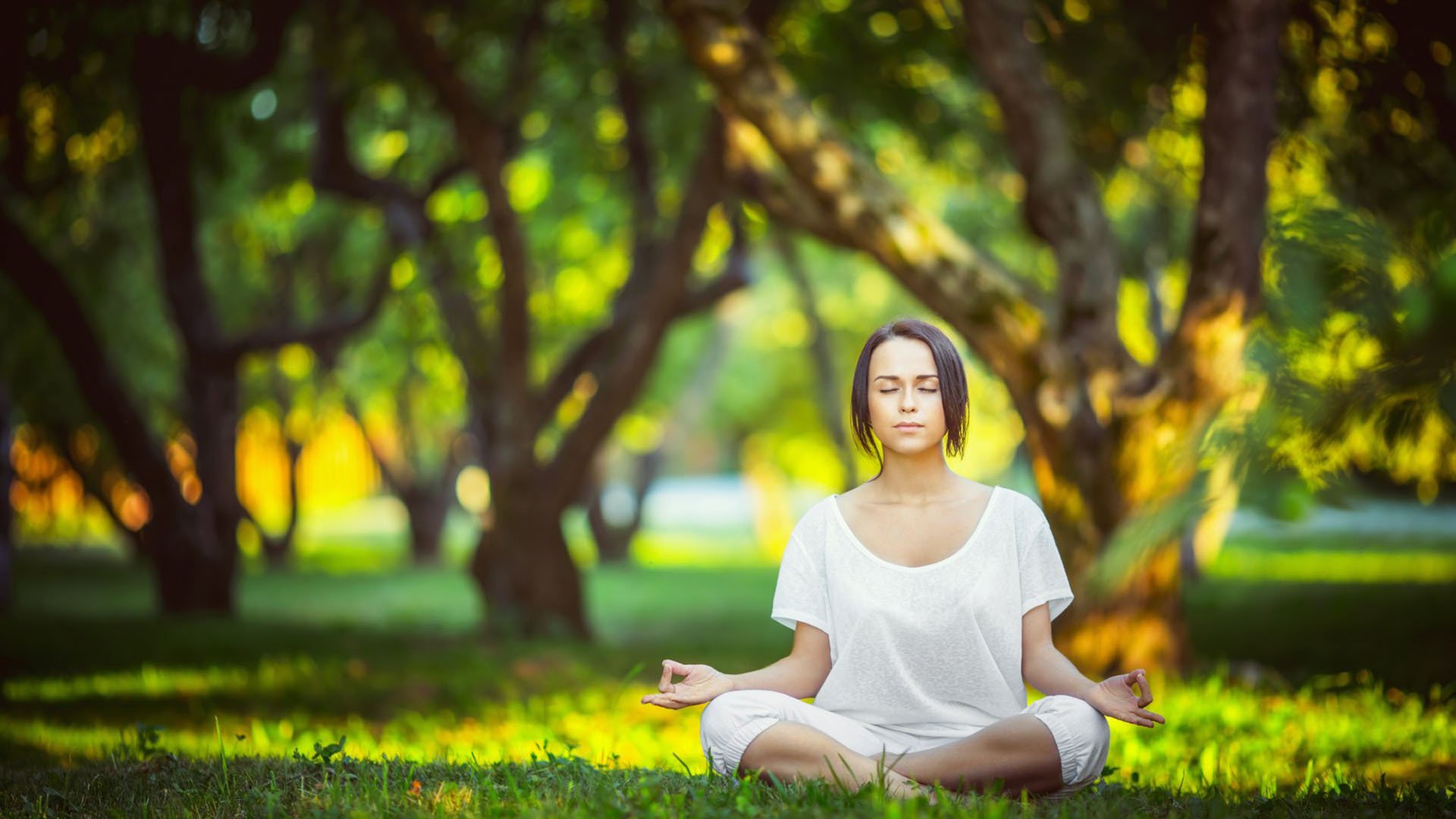JiuyouAPP下载-球员是否能参与球馆设施设计意见，球馆须知